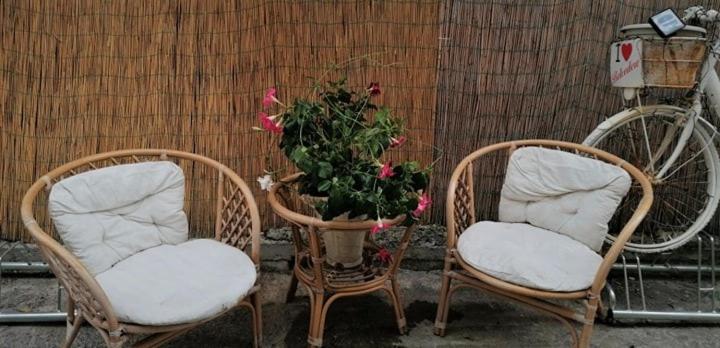 Bed and Breakfast La Marinella Belvedere Marittimo Exterior foto
